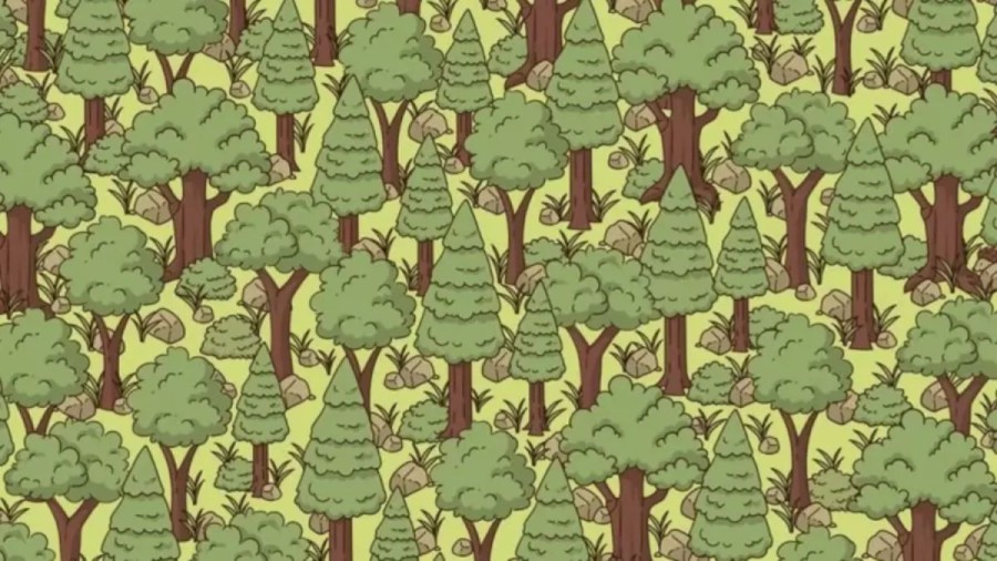 Visual Test Optical Illusion: Can You Detect The Hedgehog That Is Hidden Somewhere Among These Trees?