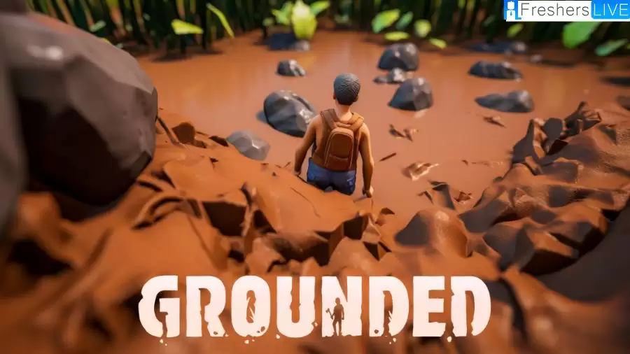 Where to Find Clay Grounded? How to Get It?