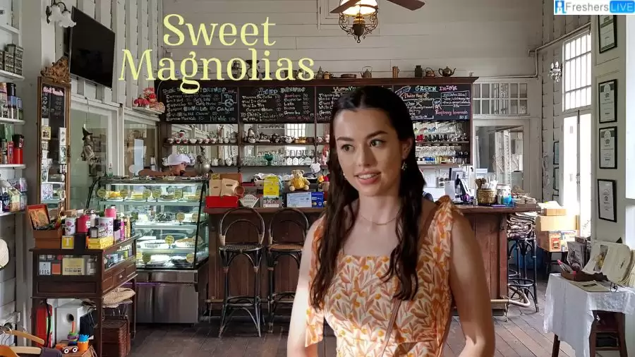Who Does Annie End Up With in Sweet Magnolias?
