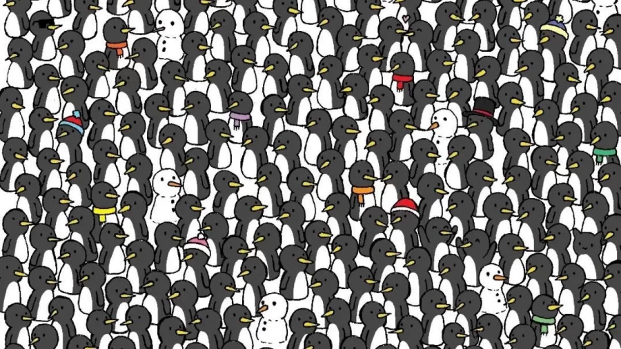 You Have Eagle Eyes Spot 3 Hidden Cats Among The Penguins In 15 Seconds