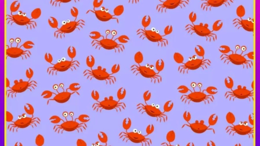 You Have Hawkeyes If You Locate The 3 Crabs With Two Legs In Less Than 15 Seconds