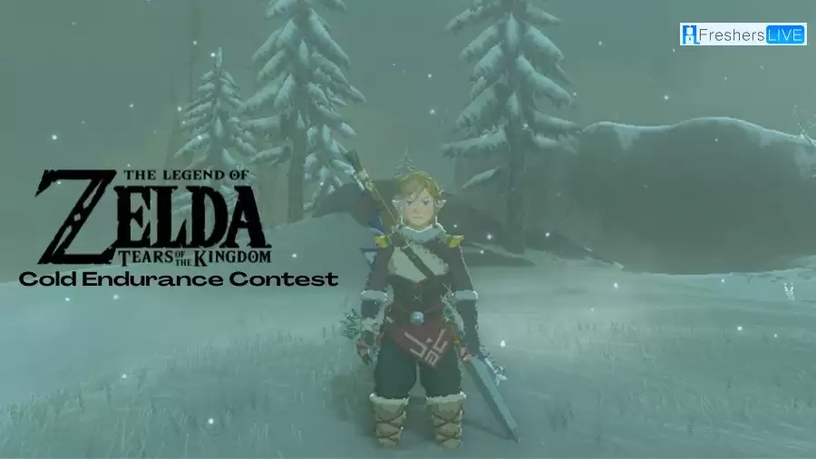 Zelda: Tears Of The Kingdom Cold Endurance Contest Quest Walkthrough